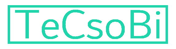 TeCsoBi