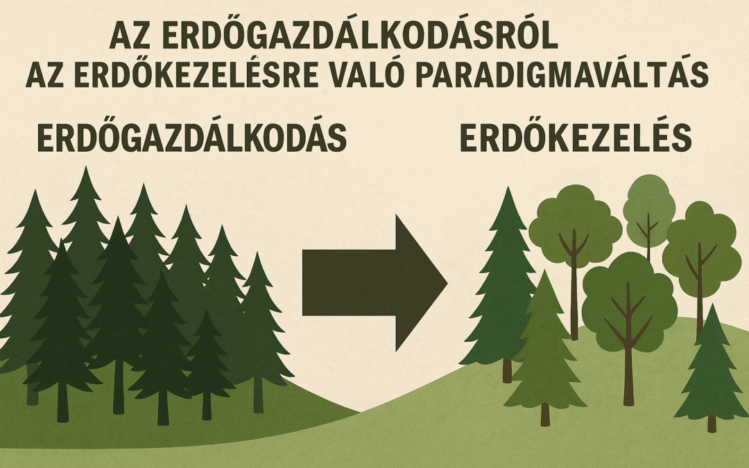 Az erdőgazdálkodás újraértelmezése a XXI. század kihívásainak tükrében