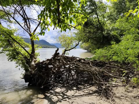 A természet nem állapotokat őriz – folyamatokat működtet