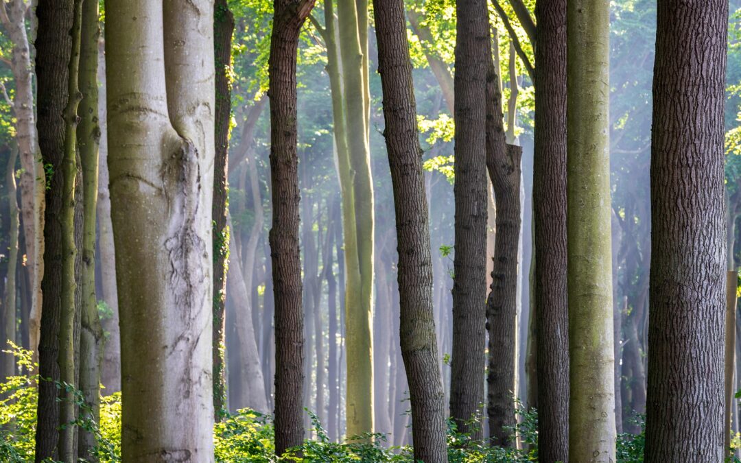 Amikor a gazdálkodás a változással szemben működik